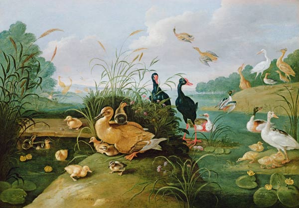 Decorative fowl and ducklings od the Elder Kessel
