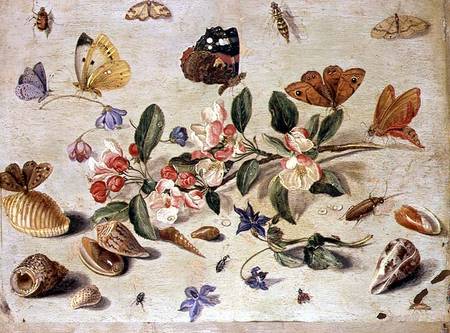 A Study of Flowers and Insects od the Elder Kessel