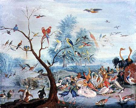 Tropical birds in a landscape od the Elder Kessel