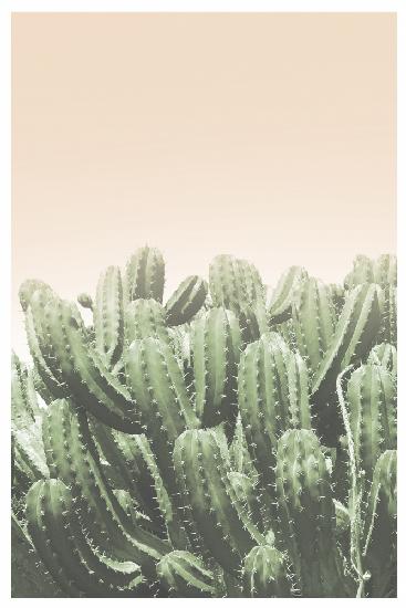 Boho Cactus No.4