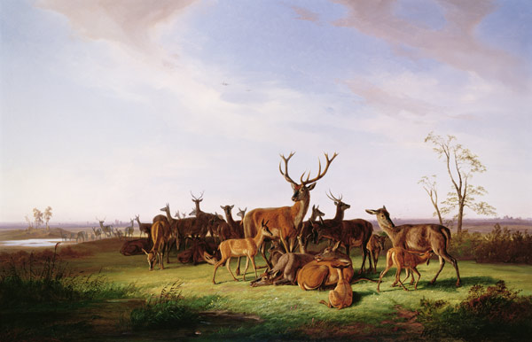 A Herd of Deer in a Sunlit Pasture od Theodor Julius Kiellerup
