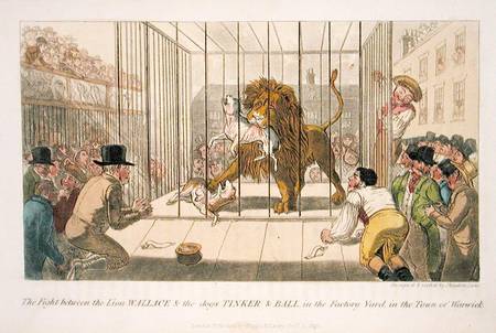 The Fight between the Lion Wallace and the Dogs Tinker and Ball in the Factory Yard in the Town of W od Theodore Lane