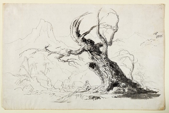 Large Gnarled Tree with Bearded Man Seated Below od Thomas Cole