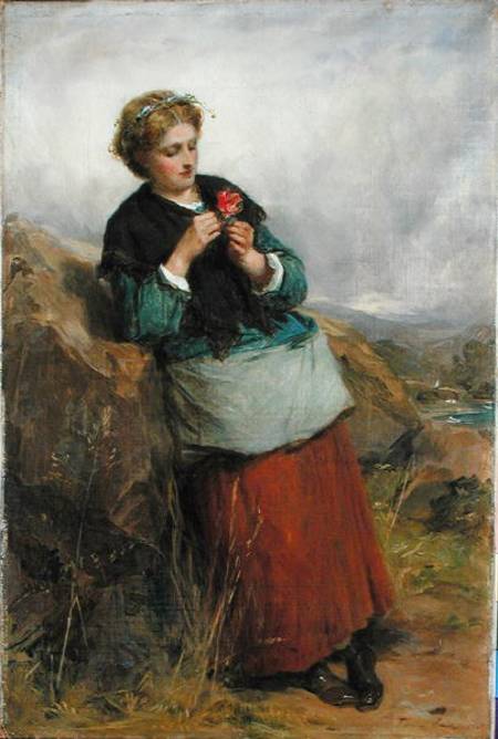 The Flower of Dunblane od Thomas Faed