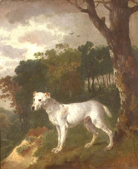 "Bumper", a Bull Terrier od Thomas Gainsborough