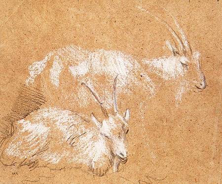 Study of Goats od Thomas Gainsborough