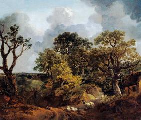 Woodland landscape with way and sheep