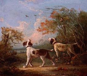 Spaniels in a landscape