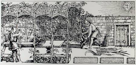 Arbour being built as a shade against the sun, from 'The Gardener's Labyrinth' od Thomas Hill
