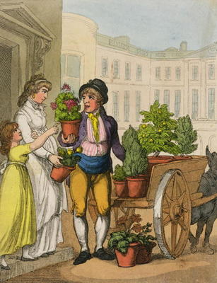Cries of London: The Garden Pot Seller, 1799 (colour aquatint) od Thomas Rowlandson