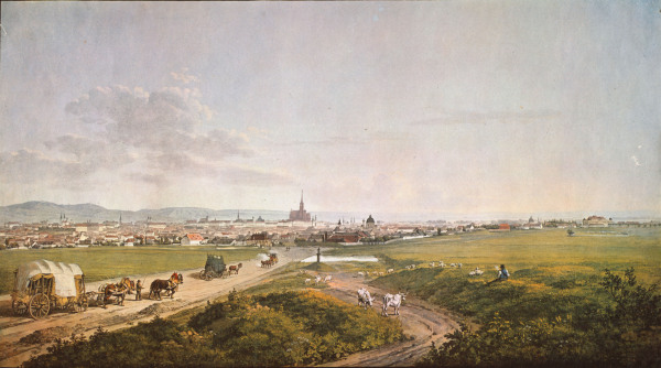 View of Vienna od Thomas Shotter Boys