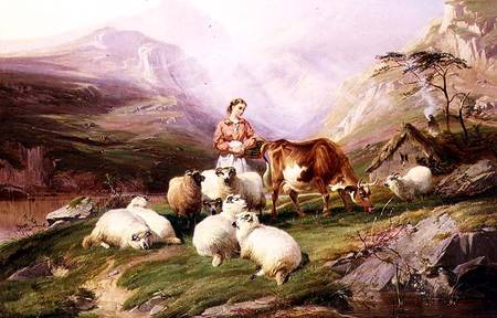 Cow and Sheep on a Mountain Pasture od Thomas Sidney Cooper