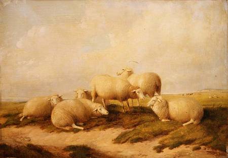 Sheep od Thomas Sidney Cooper