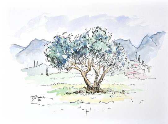 Baum in Soiano d.L. od Thomas Steinmetz