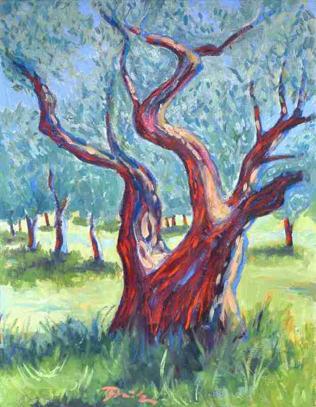 Olivovníky v St Rémy od Thomas Steinmetz