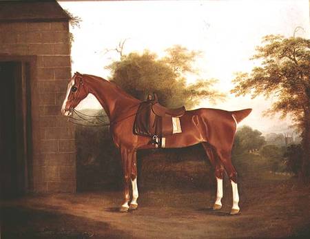 Horse with side saddle od Thomas Weaver