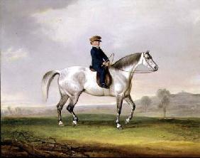Master Edward Humphries on his Grey Pony