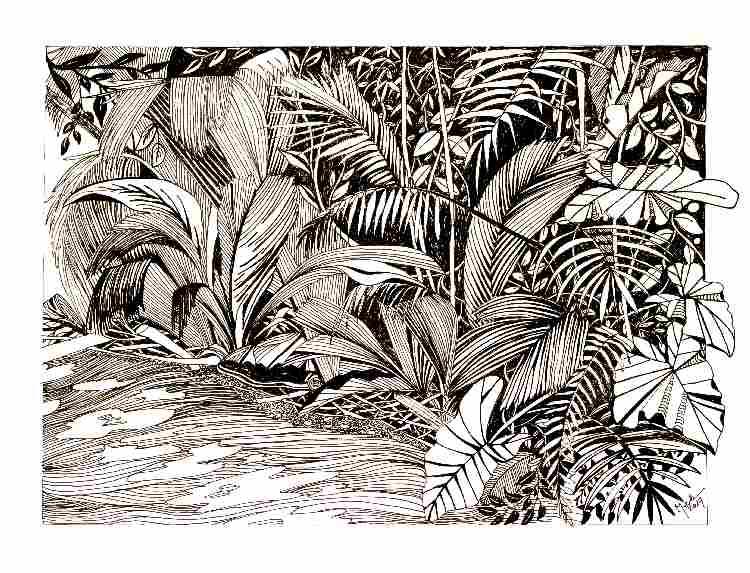 Palm Forest od Brigitte Thonhauser-Merk