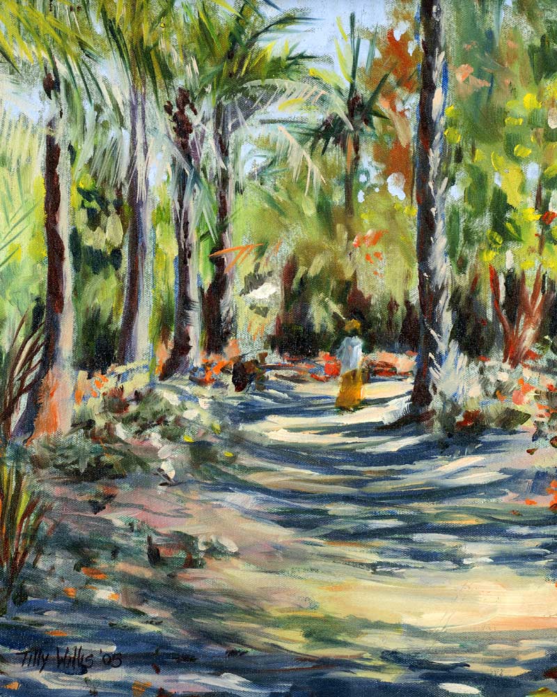 The Bush Road, 2005 (oil on canvas)  od Tilly  Willis