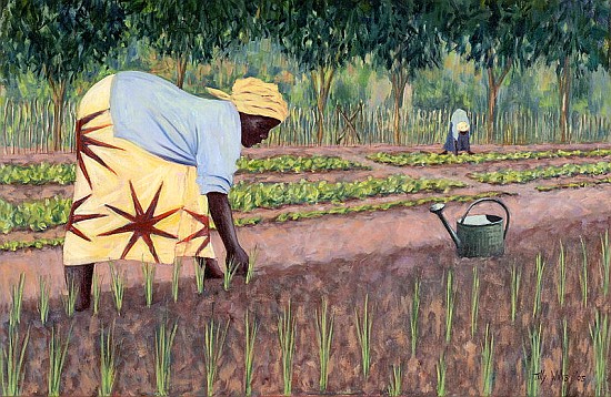 Planting Onions, 2005 (oil on canvas)  od Tilly  Willis