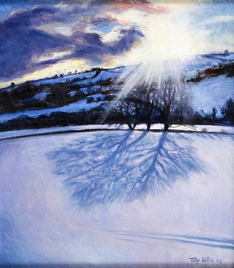 Snow Shadows od Tilly  Willis