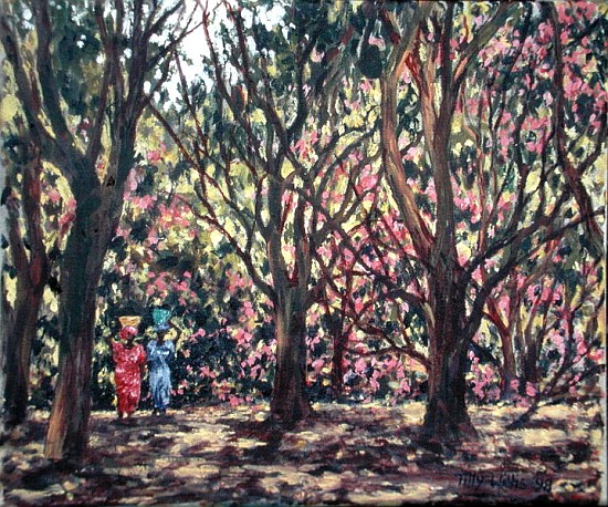 The Cashew Wood, 1998 (oil on canvas)  od Tilly  Willis