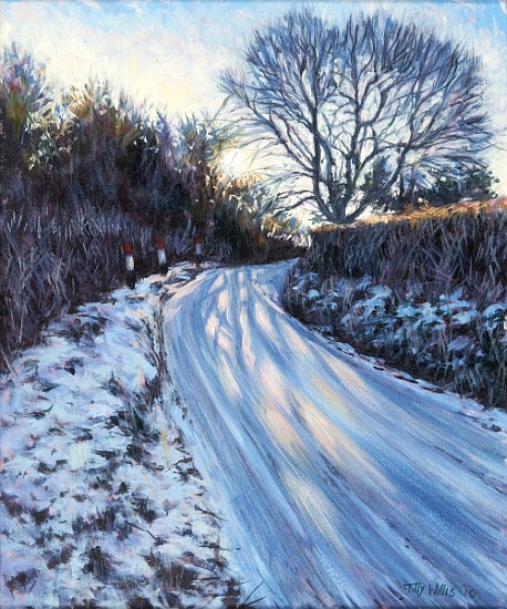 Winter Light od Tilly  Willis