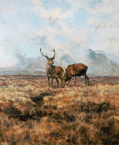 Red Stags, Ben Buie, 1982  od Tim  Scott Bolton