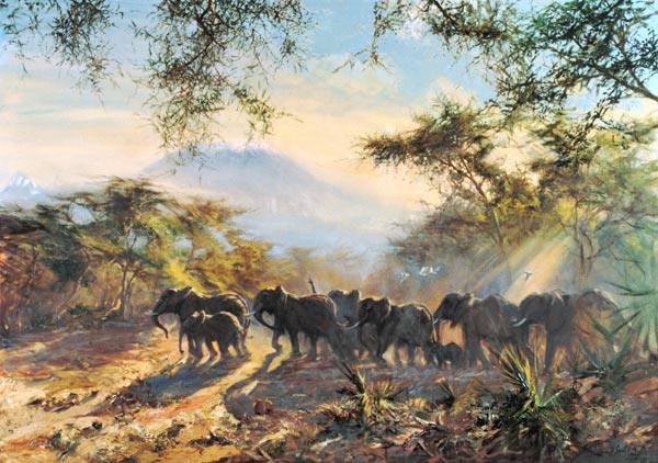 Elephant, Kilimanjaro, 1995 (oil on canvas)  od Tim  Scott Bolton