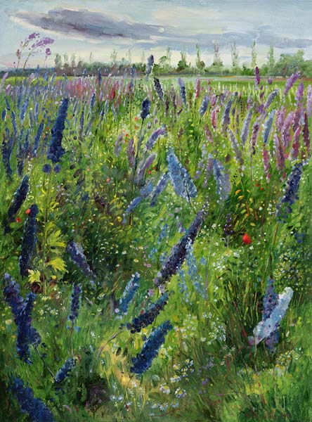 Delphiniums and Emerging Sun, 1991  od Timothy  Easton