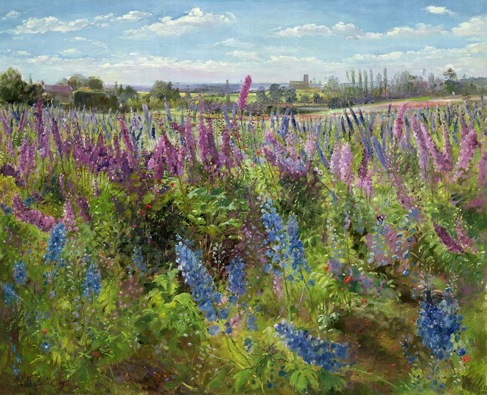 Delphiniums and Poppies, 1991  od Timothy  Easton
