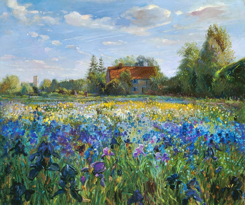 Evening at the Iris Field  od Timothy  Easton