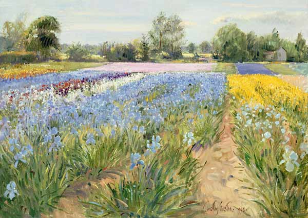 Floral Chessboard, 1995 (oil on canvas)  od Timothy  Easton
