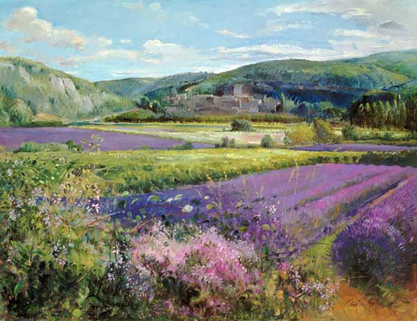 Lavender Fields in Old Provence (oil on canvas)  od Timothy  Easton