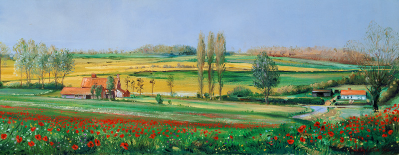 Poppy Field and Poplars  od Timothy  Easton