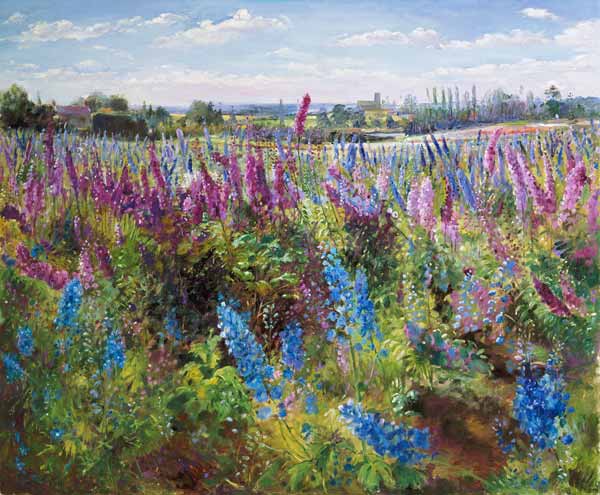 Delphinium Field and Church  od Timothy  Easton