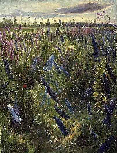 Delphiniums and Emerging Sun od Timothy  Easton