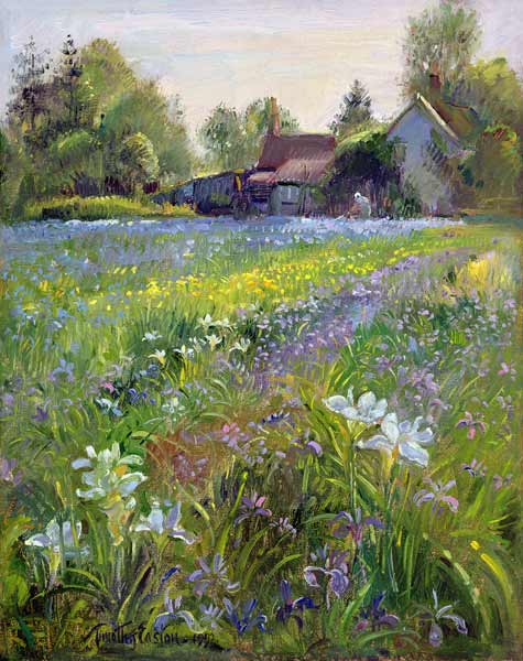 Dwarf Irises and Cottage, 1993  od Timothy  Easton