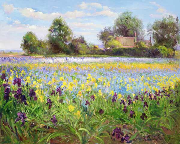 Farmstead and Iris Field, 1992  od Timothy  Easton