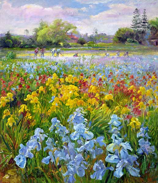 Hoeing Team and Iris Fields, 1993  od Timothy  Easton