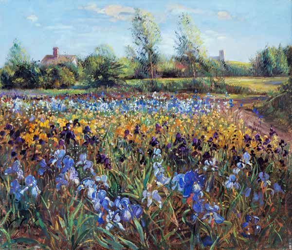 Irises and Burgate Green (oil on canvas)  od Timothy  Easton