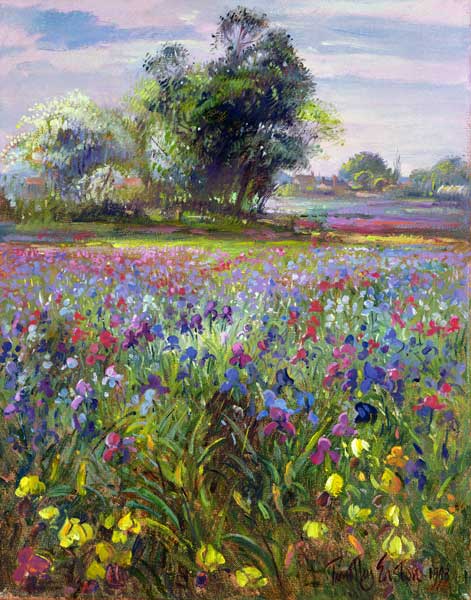 Irises and Distant May Tree, 1993  od Timothy  Easton