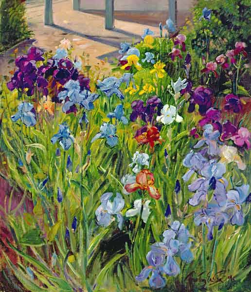 Irises and Summer House Shadows, 1996 (oil on canvas)  od Timothy  Easton