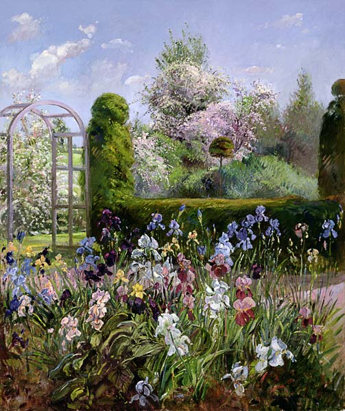 Irises in the Formal Gardens, 1993  od Timothy  Easton
