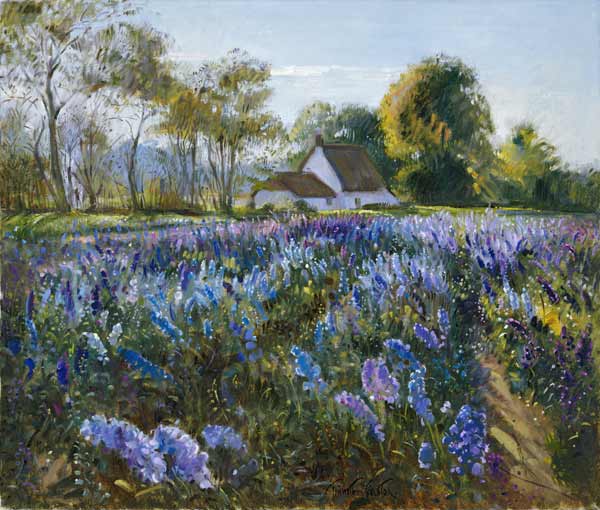 October Delphiniums (oil on canvas)  od Timothy  Easton