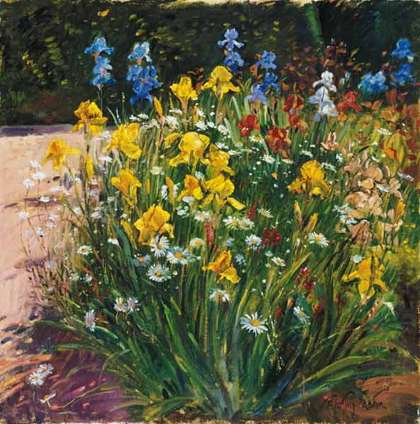 Oxeye Daisies Against the Irises (oil on canvas)  od Timothy  Easton
