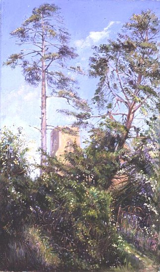 Pine Tree and Tower od Timothy  Easton