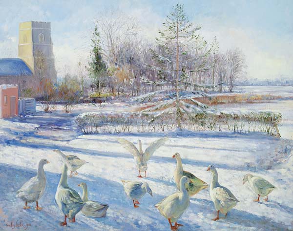 Snow Geese, Winter Morning  od Timothy  Easton