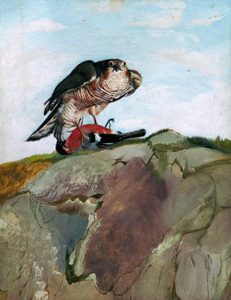 Sparrowhawk which has beaten a bullfinch. od Tivadar Csontváry-Kosztka