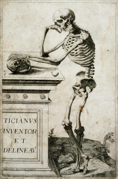 Anatomical study od Tizian (ve skutečnosti Tiziano Vercellio)